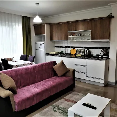 مايا أبارت *